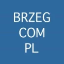 Brzeg.com.pl